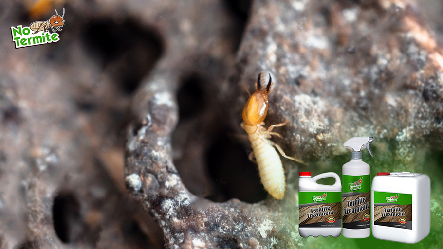 Estrategias efectivas para prevenir las termitas: consejos esenciales para propietarios de viviendas