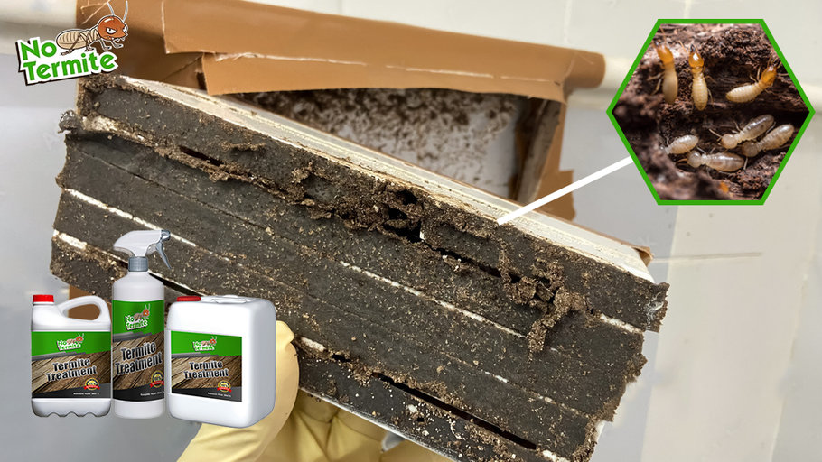 ¿Están sus inversiones a salvo de las termitas?