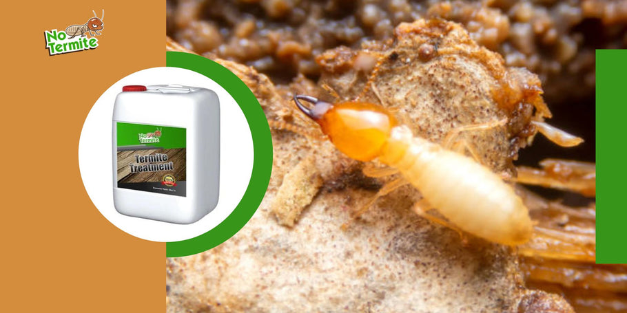 ¿Cuáles son los peligros que se deben evitar al combatir las termitas?