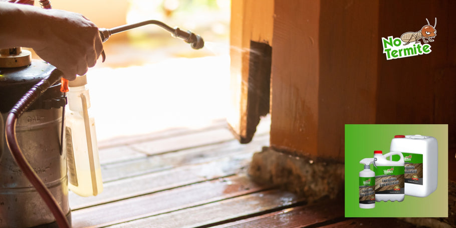 ¿Pueden las termitas causar daños estructurales graves a una casa?