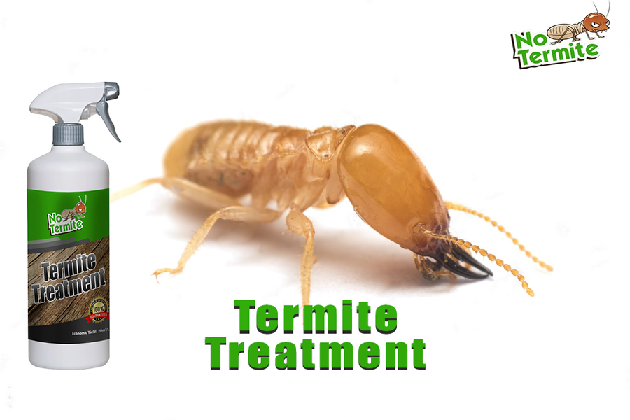 La importancia de las estrategias contra las termitas