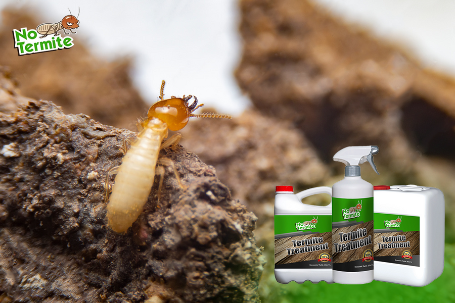 ¿Te preguntas sobre la lucha contra las termitas?