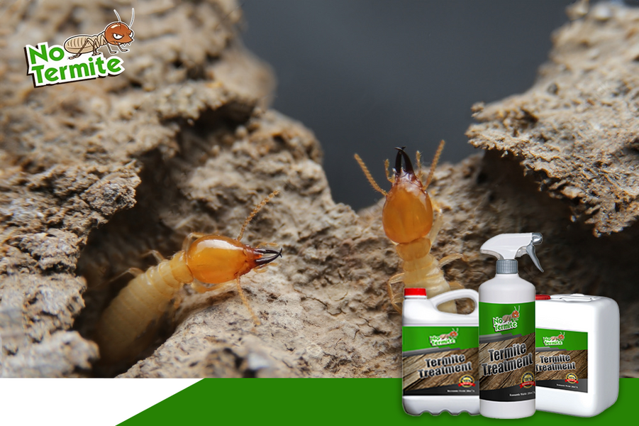 ¿Cuáles son los elementos clave de una defensa eficaz contra las termitas?