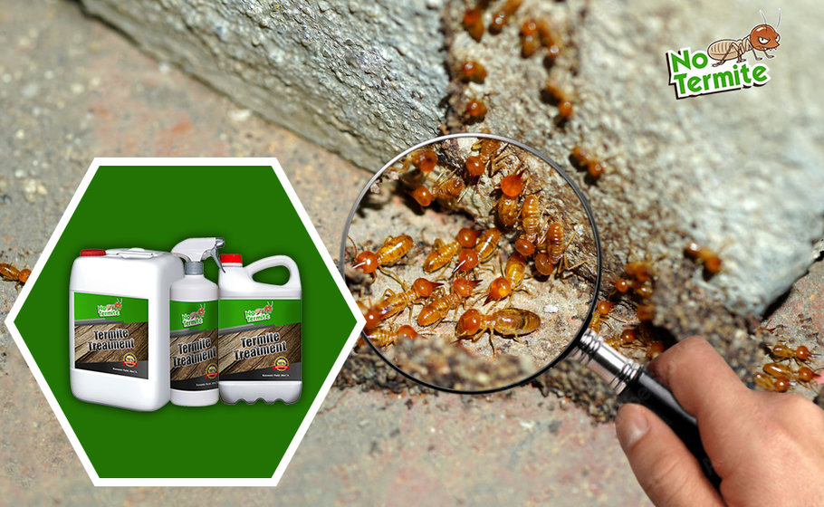 ¿Es eficaz el repelente de termitas?